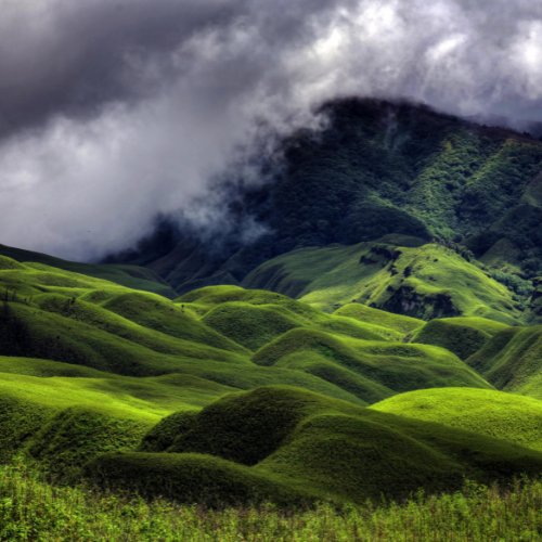 Nagaland