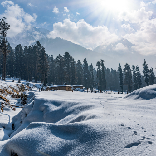 Jammu & Kashmir

