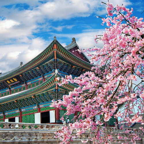🇰🇷 South Korea