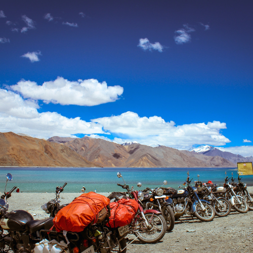 High-Altitude Rush Ladakh