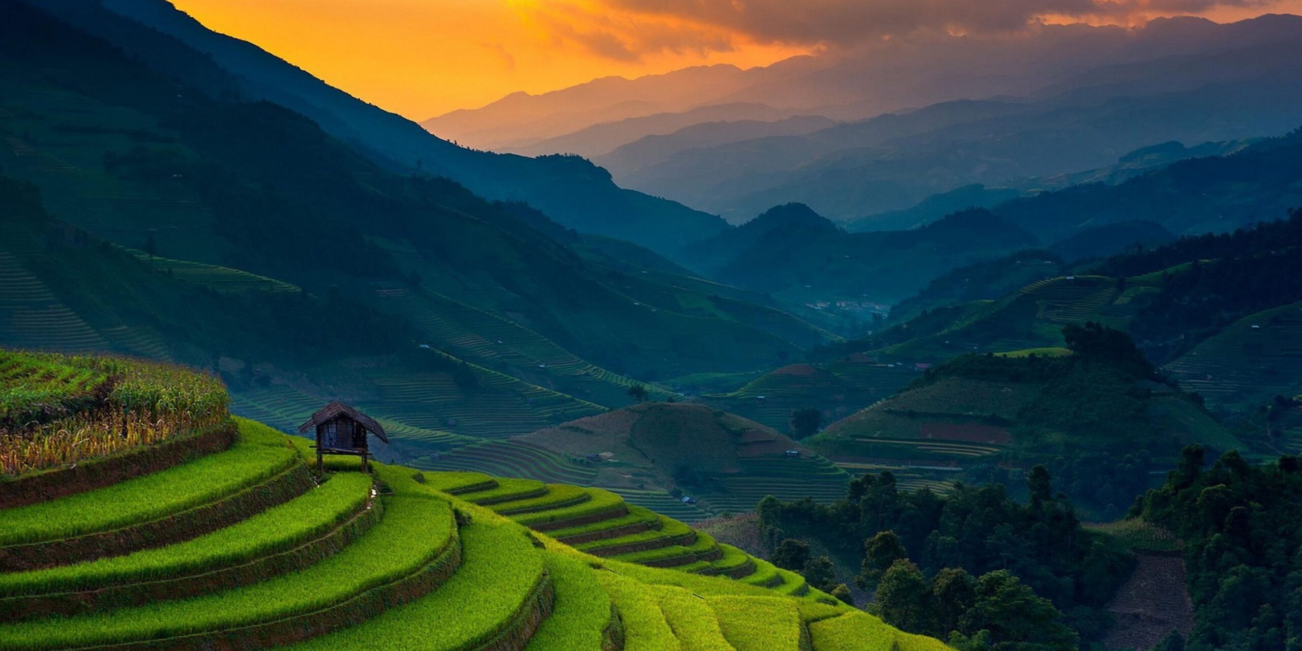 🇻🇳 Vietnam Vibes