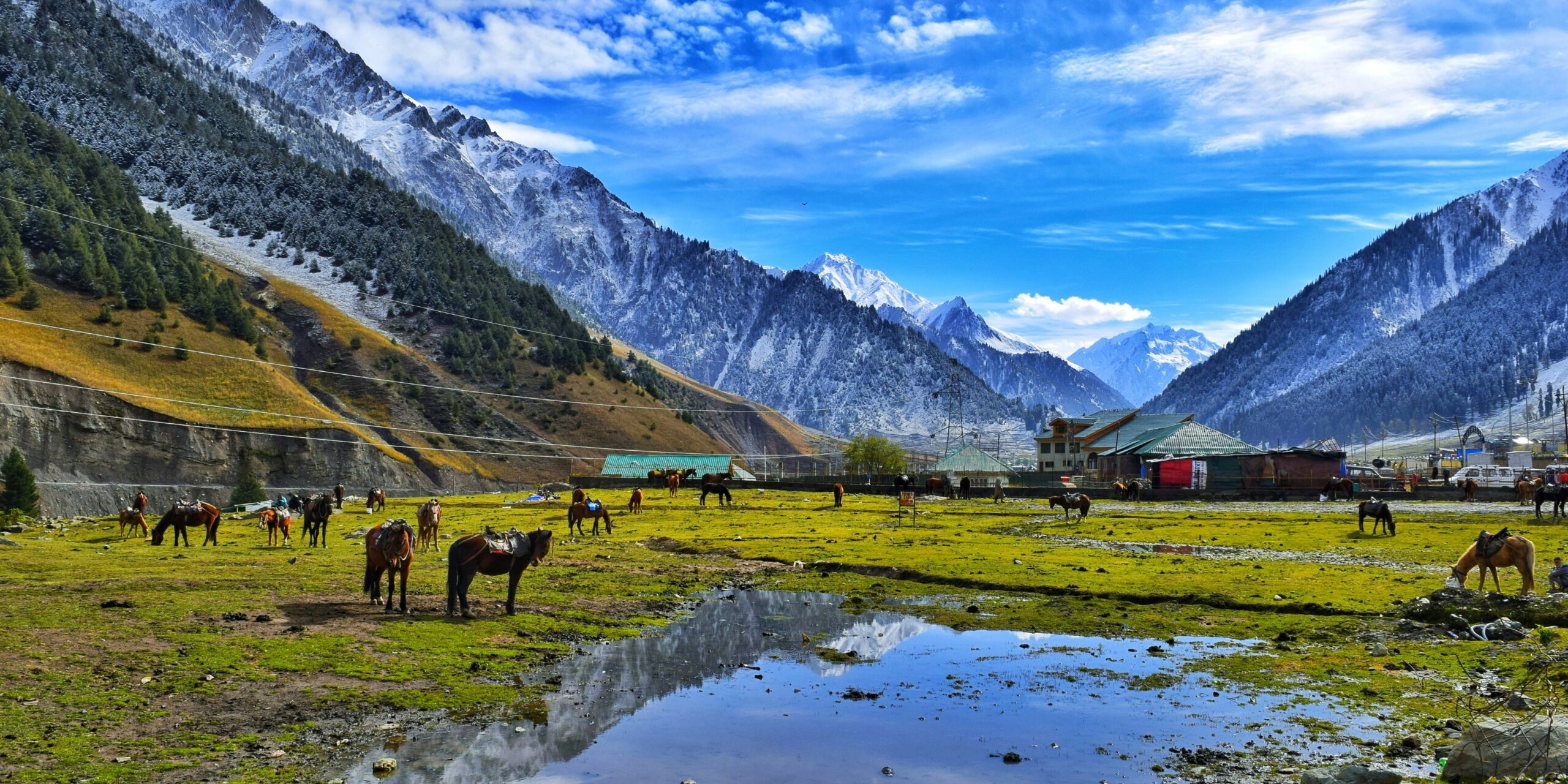 1N Kargil, 4N Srinagar & 1N Pahalgam