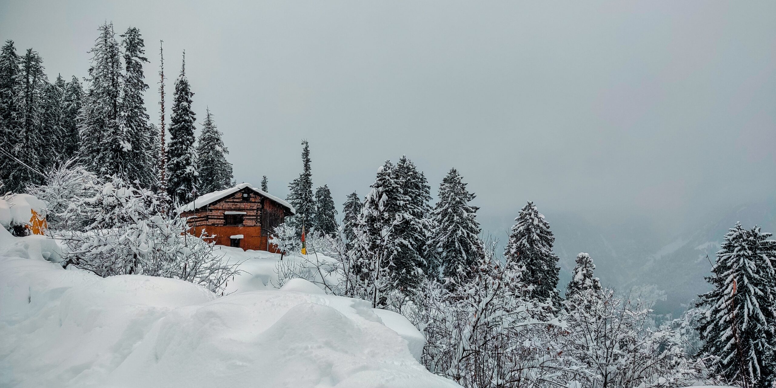 1N Amritsar, 3N Manali, 1N Shimla & 1N Kasol