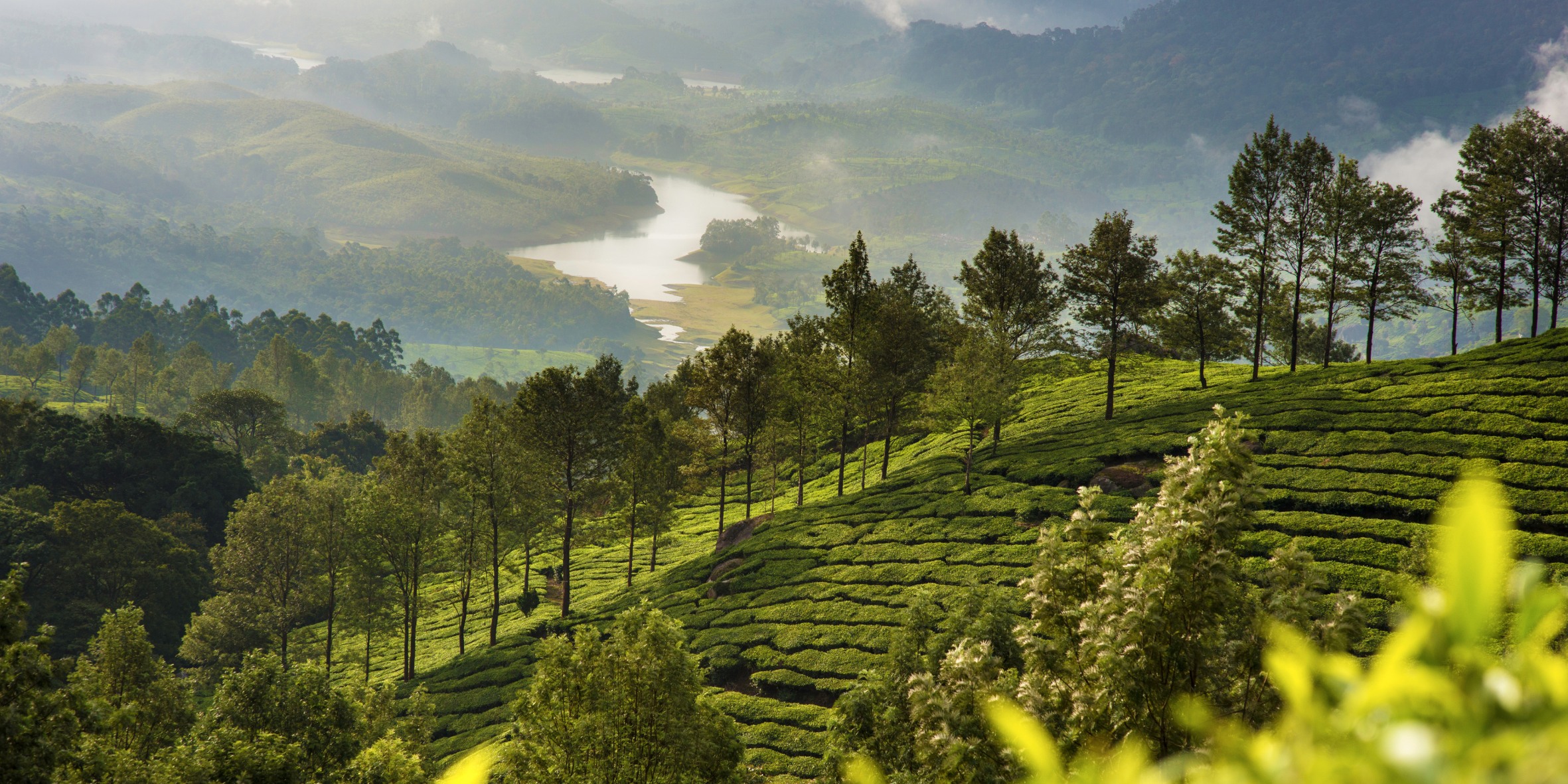 2N Munnar, 1N Thekkady & 1N Alleppey