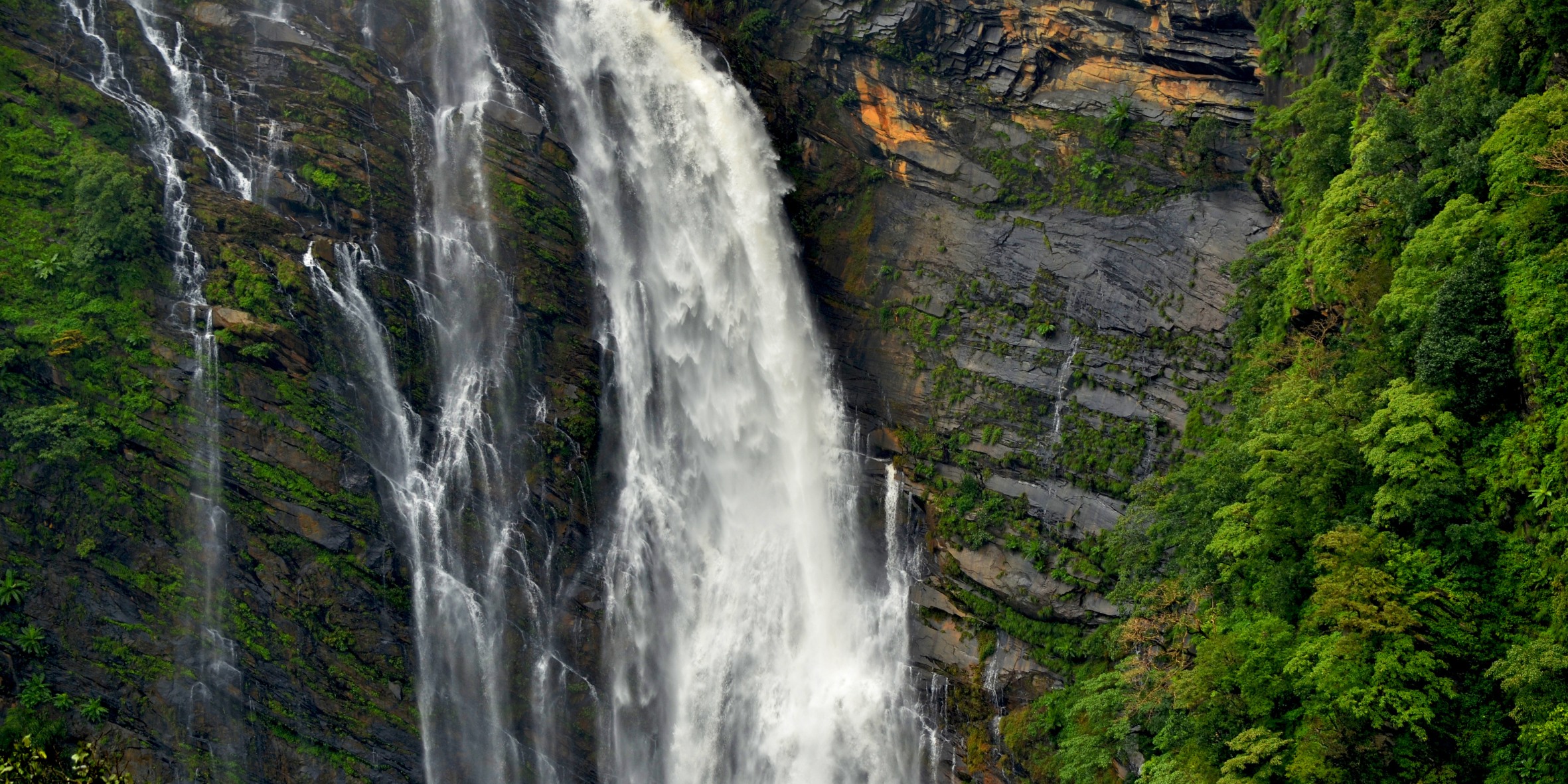 1N Mysore, 2N Wayanad & 2N Ooty